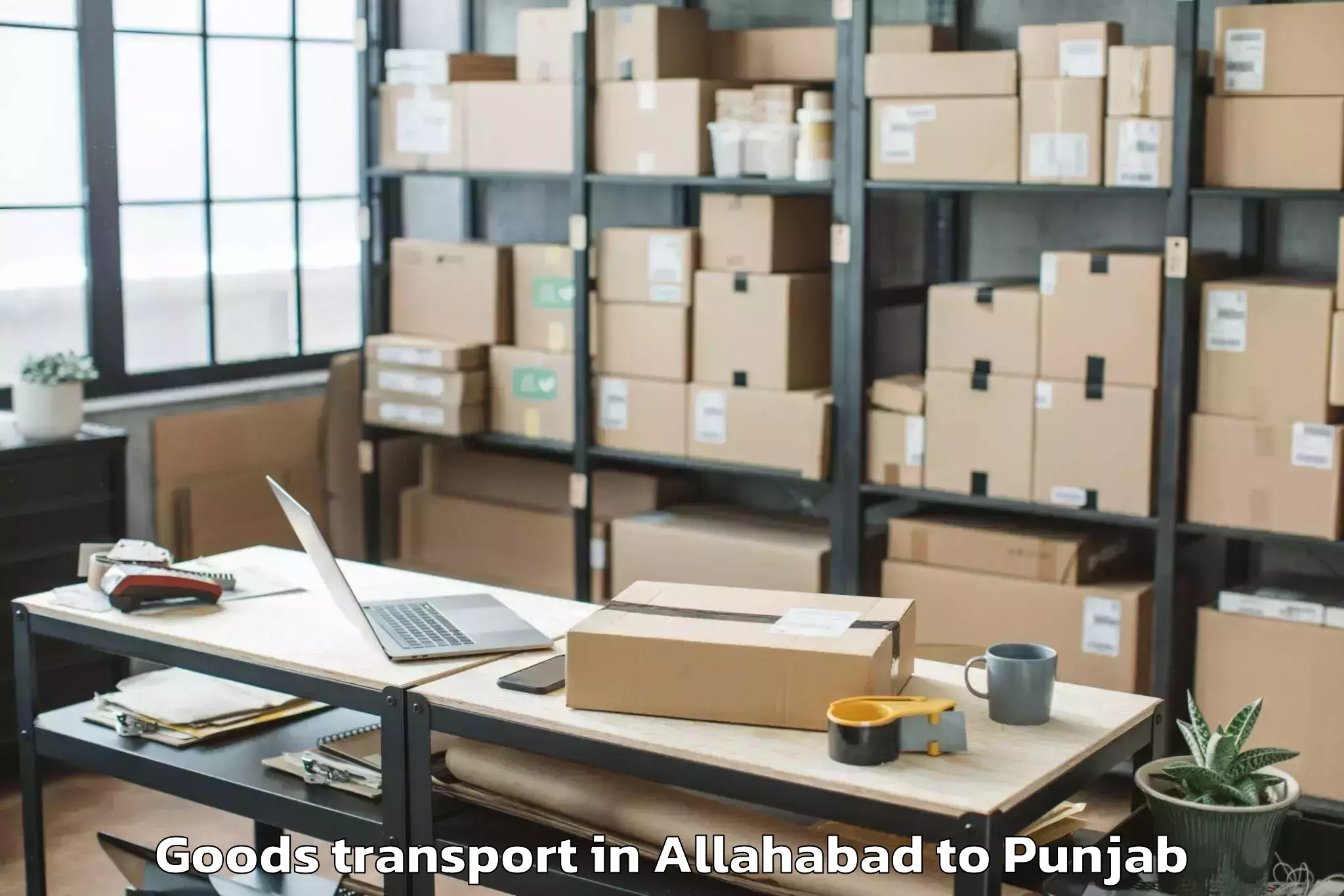 Professional Allahabad to Darak Goods Transport